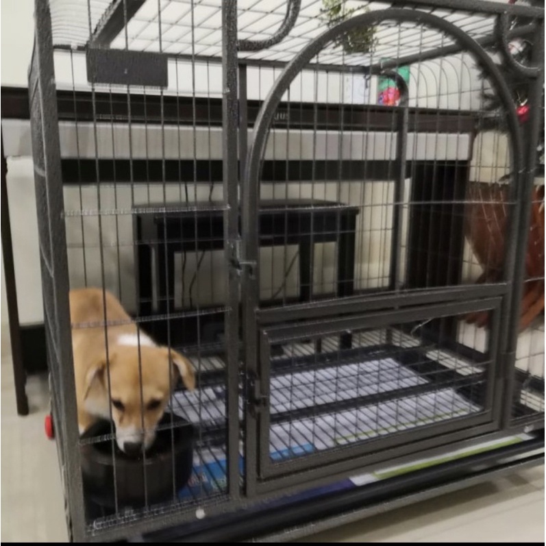 Kandang Anjing Besar  L Besi Hollow Super Tebal Kuat PREMIUM QUALITY
