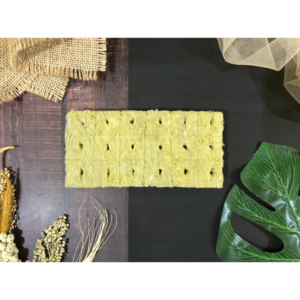 Rockwool 18 Lubang - Media Tanam Hidroponik - Media Semai Bibit