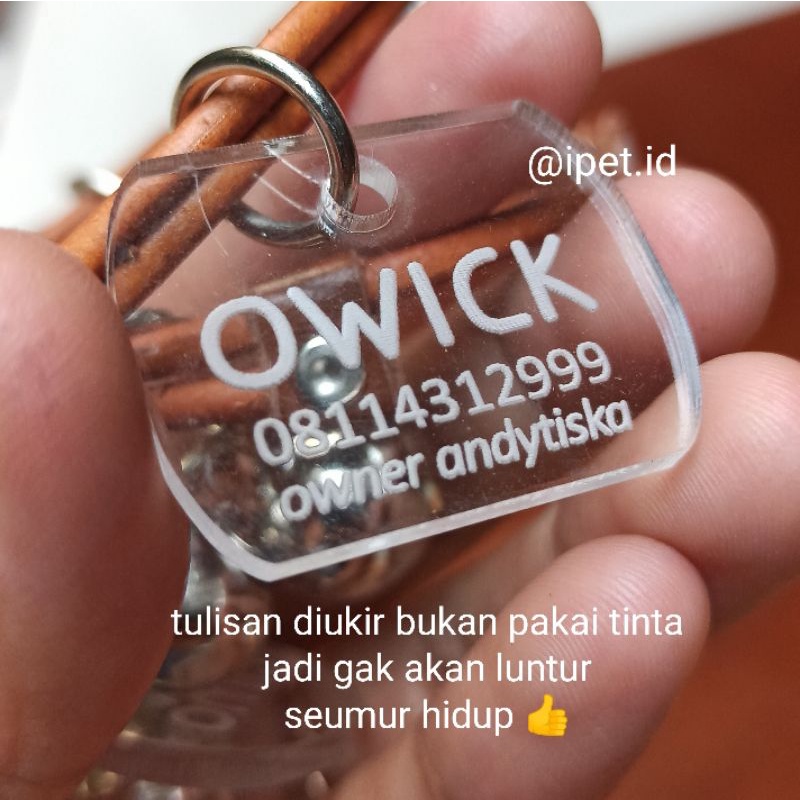 KALUNG KUCING DAN ANJING KECIL LONCENG DOUBLE TAG NAMA CUSTOM AKRILIK BENING TALI KULIT BULAT by iPet