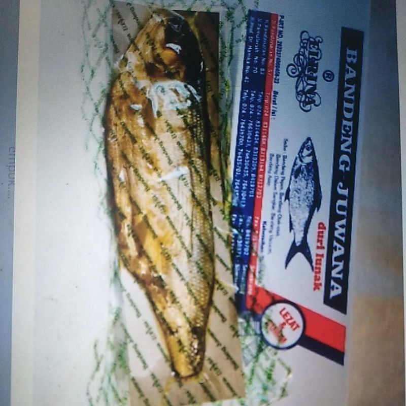 

Bandeng vacuum kering ( tahan 60 hari)