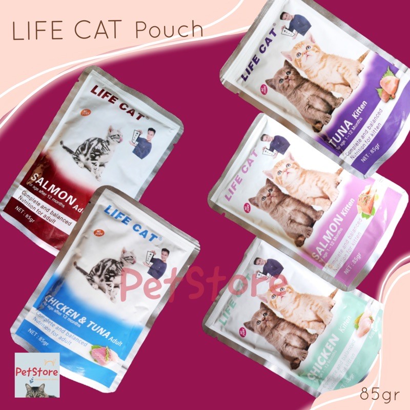 Life cat Pouch Adult &amp; Kitten Creamy BAIM WONG