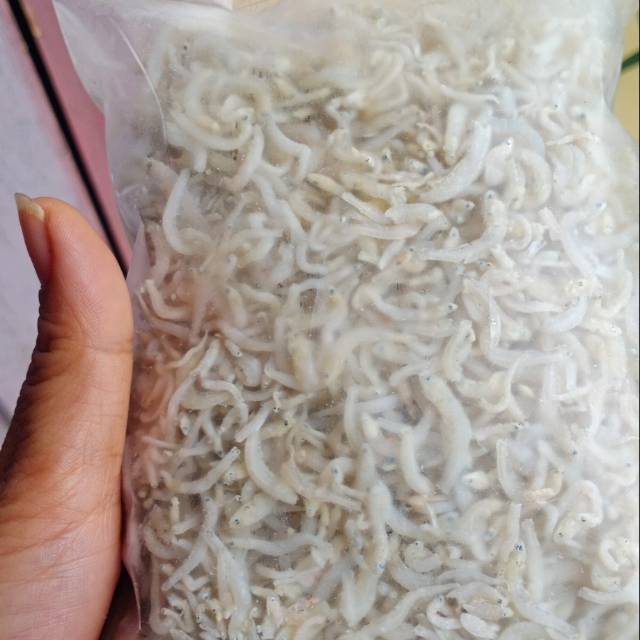 

Teri nasi medan