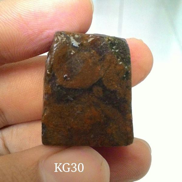 

Halmahera batang coklat