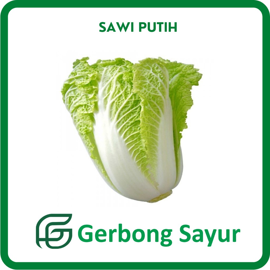 

Sayur Sawi Putih Segar - 500g