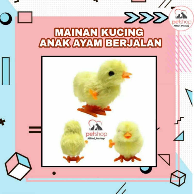 5700 Gambar Hewan Anak Ayam Gratis
