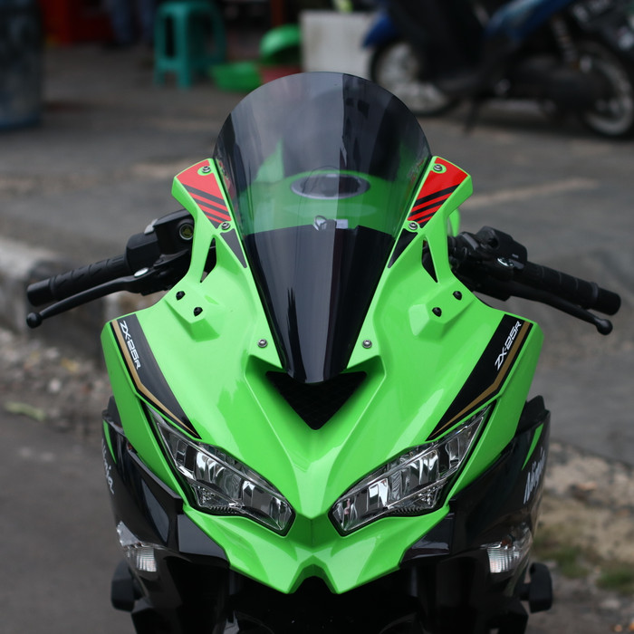 Windscreen windshield Visor ZX25 ZX25R by Drake - Long