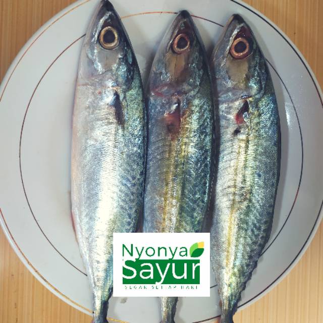 

Ikan Kembung Banjar Segar