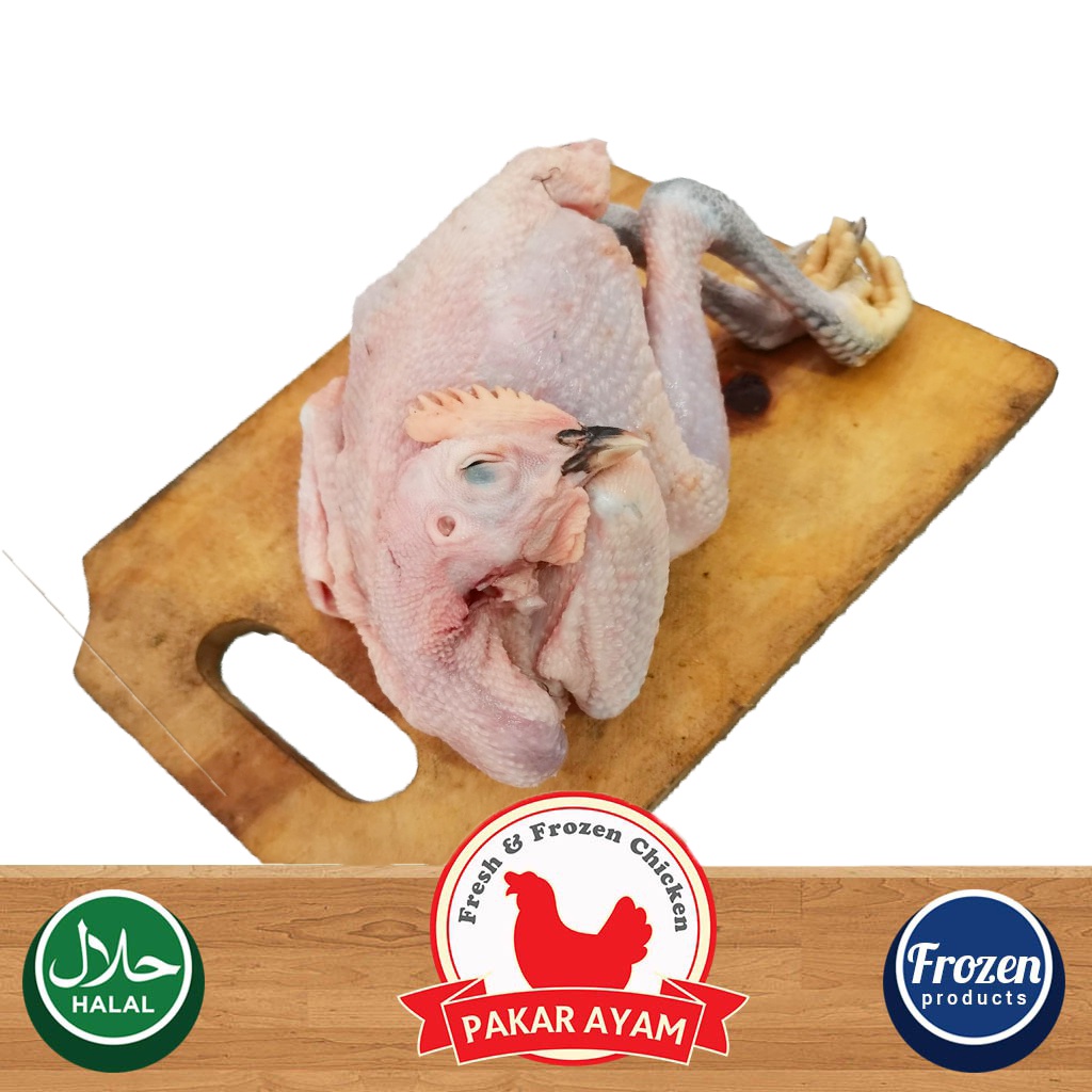 

AYAM KAMPUNG KARKAS SIZE 0.7-0.8 GRAM