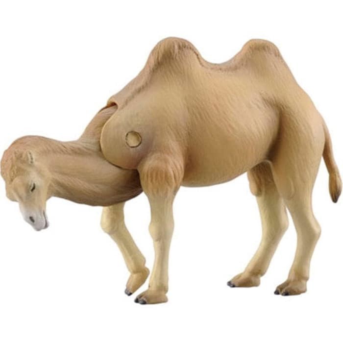 BEST SELLER Ania AS 18 Bactrian Camel Takara Tomy Tomica