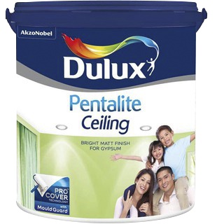 DULUX PENTALITE CEILING