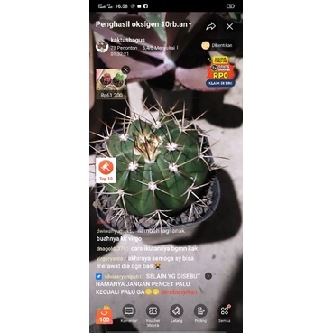 paket live 1-50 live tanggal 14 juli