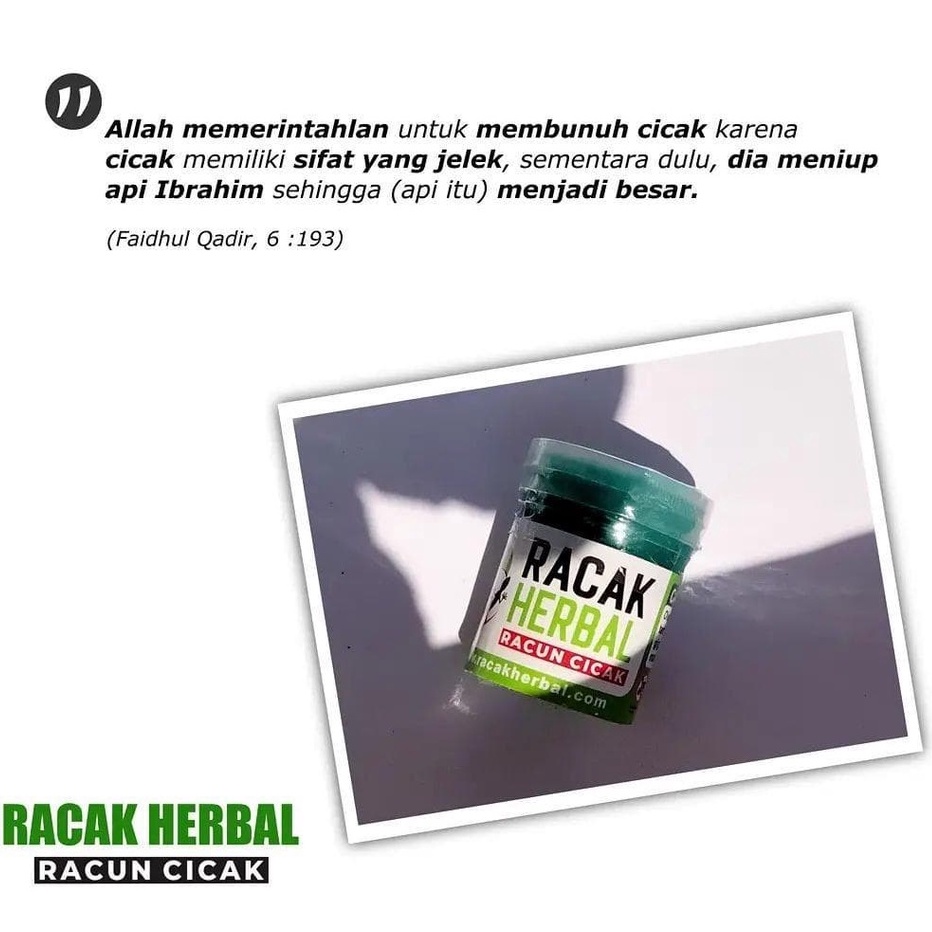 RACUN CICAK RACAK HERBAL ALL IN 1 BISA UNTUK MEMBASMI CICAK TOKEK DAN KECOA TERBUKTI PALING AMPUH