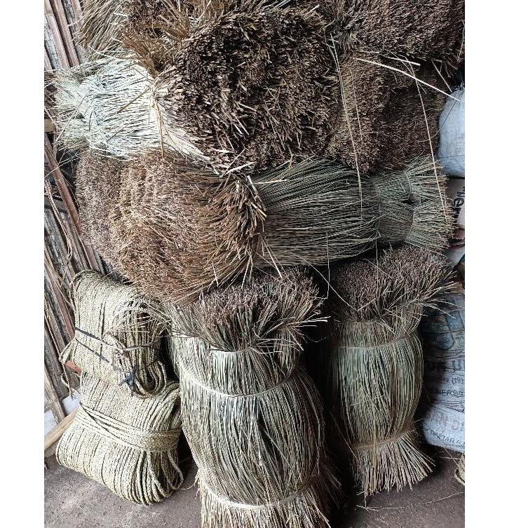 ➦ rumput mendong purun bahan dasar tali mendong tanaman bahan kerajinan tangan anyaman ボ