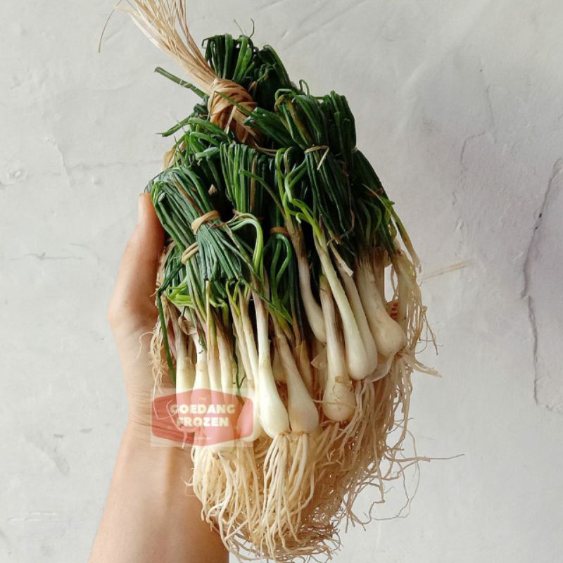 

Sayur Lokio / Bawang Batak