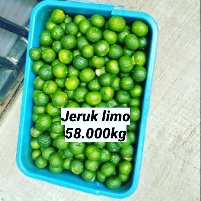 

Jeruk Limo 1kg