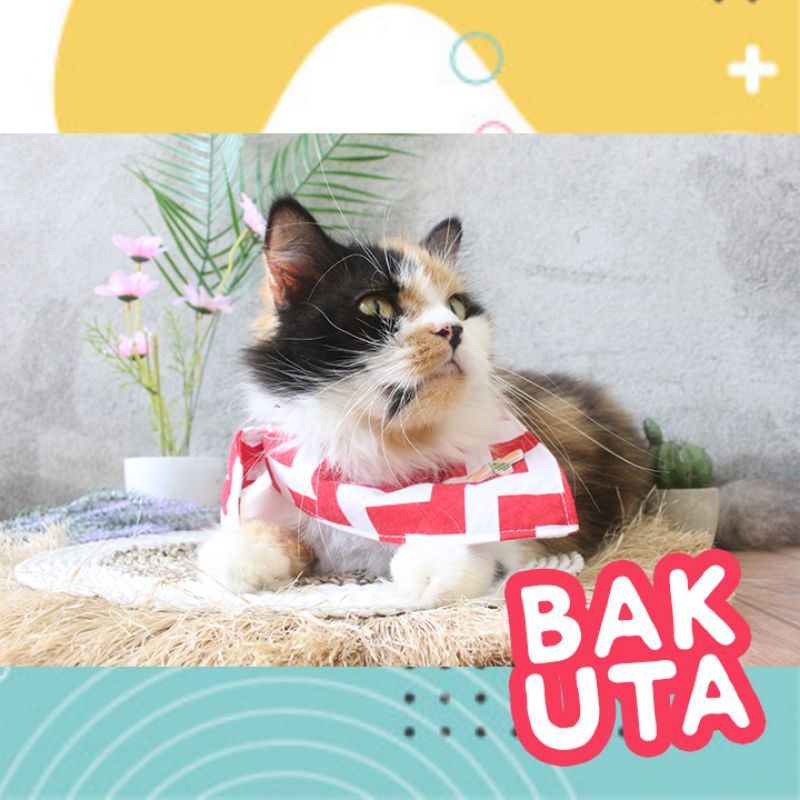 celemek makan imut untuk hewan kucing dan anjing lucu / baju kucing murah size kitten-adult