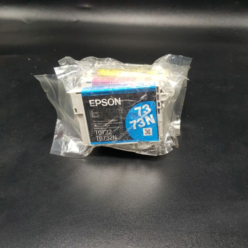 CATRIDGE ORIGINAL EPSON LOOSEPACK 0731HN