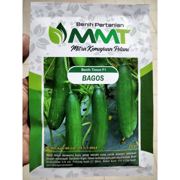 Benih Timun F1 BAGOS MMT SEED 20 Gram - Bibit Timun BAGOS BAGUS Ketimun Mentimun