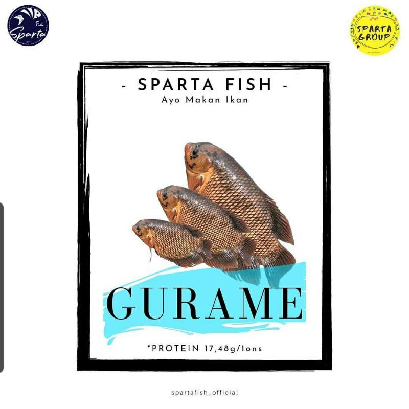 

ikan gurame konsumsi segar (live)