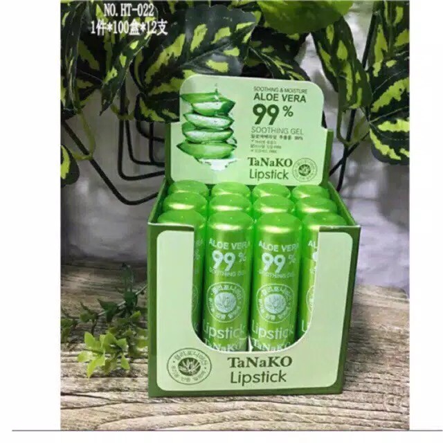 (CYBER) COD (HARGA ECERAN 1PCS) LIPBALM ALOEVERA TANAKO LIP BALM TANAKO 99% TERMURAH