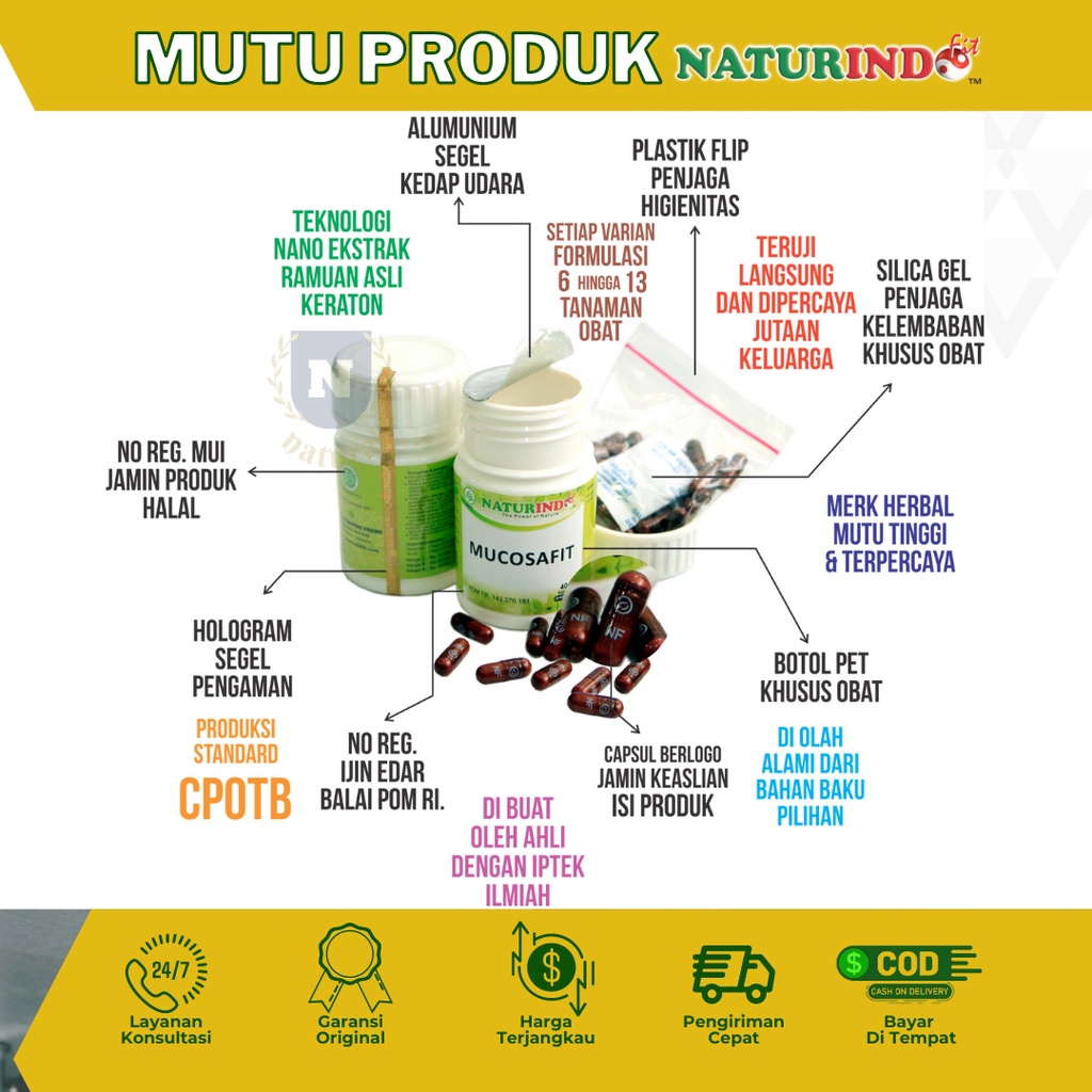 Obat Liver Mata Kuning Kesehatan Organ Hati Hepatitis Obat Hepatitis B Ampuh Hepatifit Obat herbal Liver Bengkak Obat Gatal Biduran Naturindofit-4