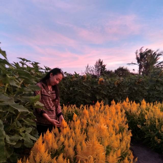 juwitaekamaharani