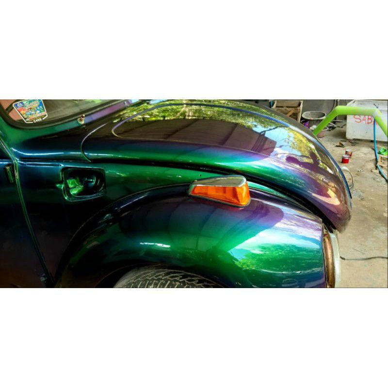 

cat bunglon specil color green blue purple