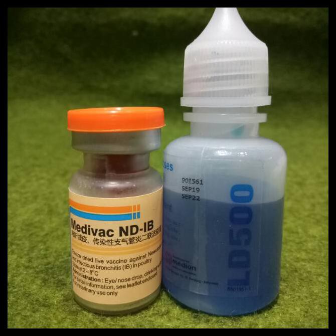 OBAT AYAM VAKSIN AYAM / MEDIVAC ND IB