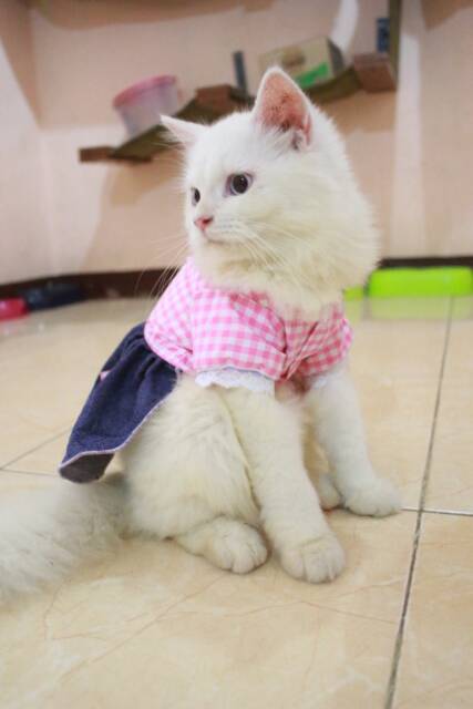 Dress kotak-kotak pinky lucu untuk kucing dan anjing / baju kucing murah meriah size S M L XL