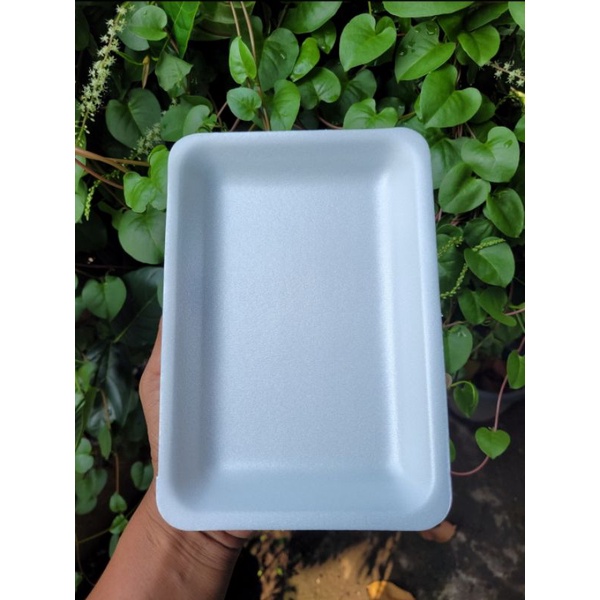 Jual STYROFOAM TRAY BUAH TR1 ISi 250 fom FOAM Shopee Indonesia