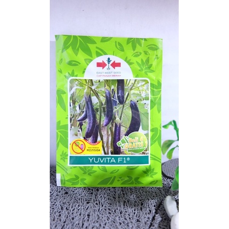 Benih terong ungu YUVITA F1 1100 butir