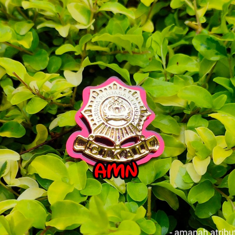 

pin cikal akrilik magnet