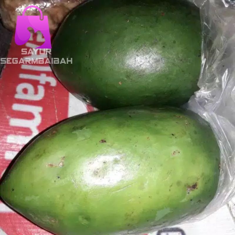 

pepaya muda/kates/sayursegar/perbuah