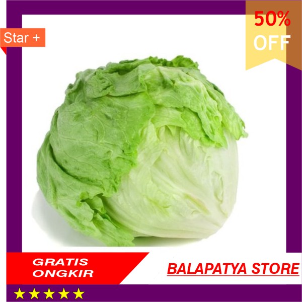 

BEST SELLER !!! Letuce Head 1kg pack khusus area JABODETABEK