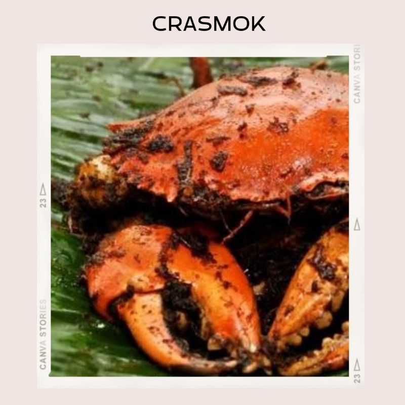 

crasmok champion