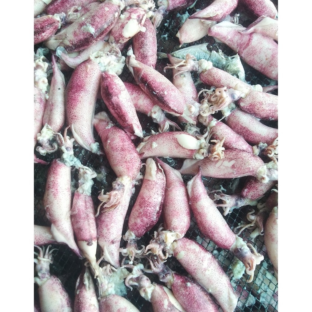 

CUMI ASIN 1 KILOGRAM - Cumi Asin Rebusan Semarang Kualitas Super BEST SELLER Cabang SUMBER LAUT