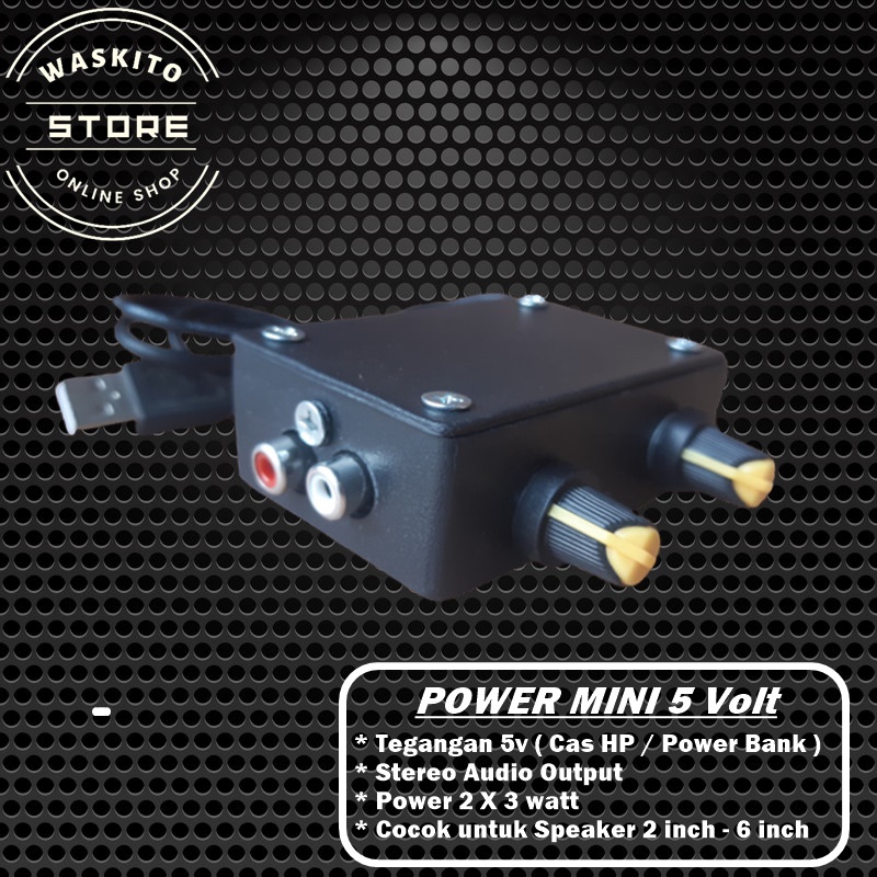Power Ampllifier Mini 5v DC Stereo // Power 5 volt Class D Stereo