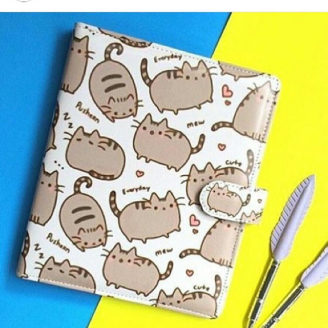 

Binder pushen SE