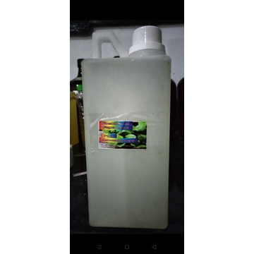 pepermint oill 1 liter