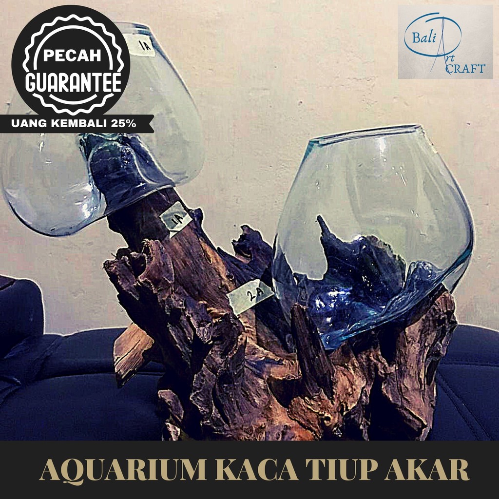 ASLI BALI AKUARIUM IKAN CUPANG BETTA FISH DUA TINGKAT  / KACA TIUP AKAR BALI / AQUASCAPE / AQUARIUM