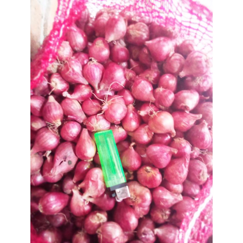 

bawang merah sayur