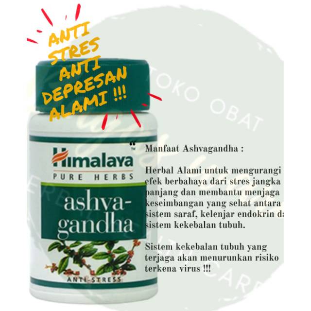Ashvaganda 60 kapsul Anti Stres & Anti Depresan Alami untuk meningkatkan daya tahan  tubuhmu!