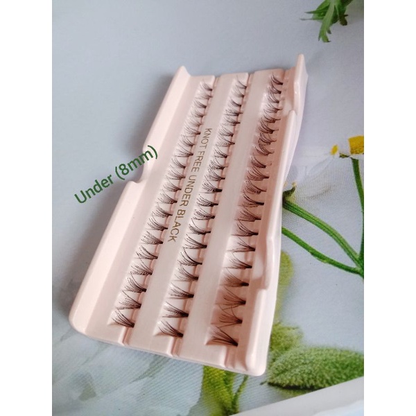 Bulu mata extension Knot free