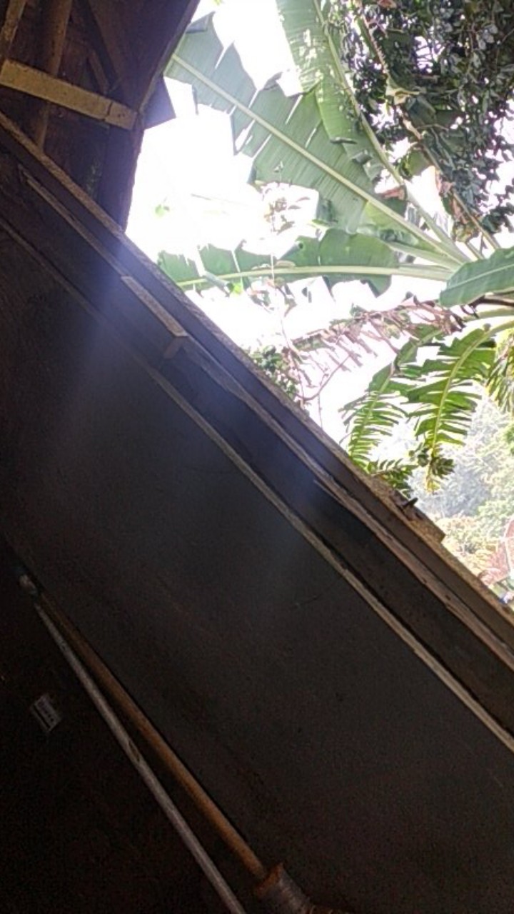 Payung Jumbo Lebar 180-210cm Cocok Untuk Event Pantai Cafe Bazaar