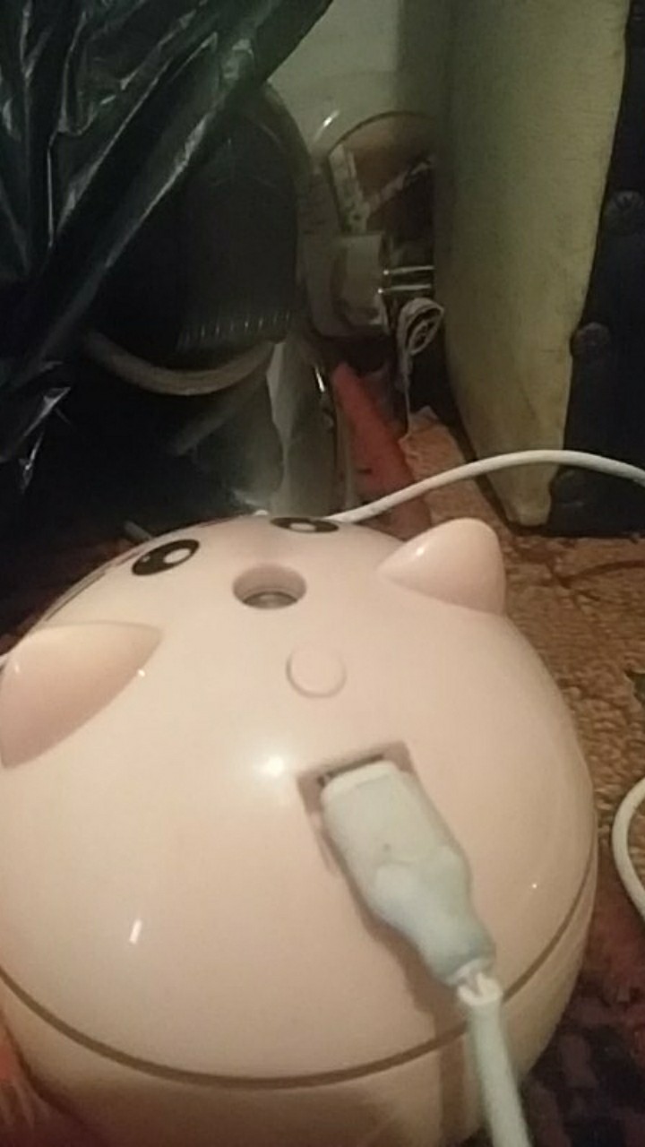 Humidifier Diffuser Aroma Essential Oil Usb 300ml Bentuk Kucing Lucu Dengan Lampu