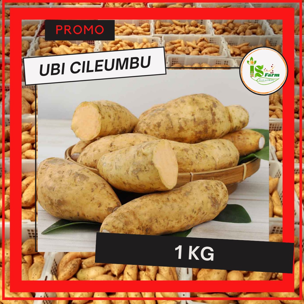 

Ubi Cileumbu / Cilembu 1kg