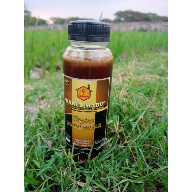 

Madu Lebah Hutan Sialang Riau "Darul Madu