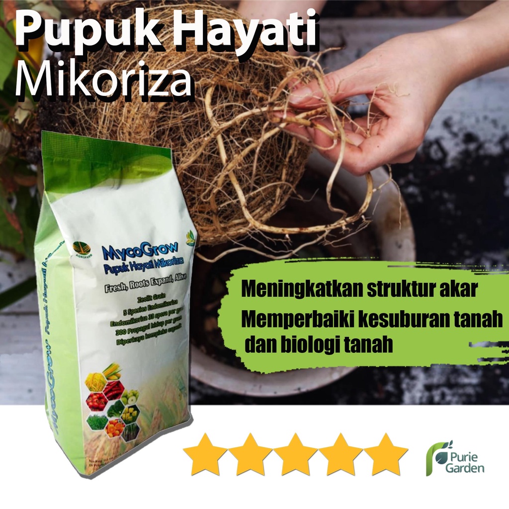 Pupuk Hayati Mikoriza MycoGrow 1kg