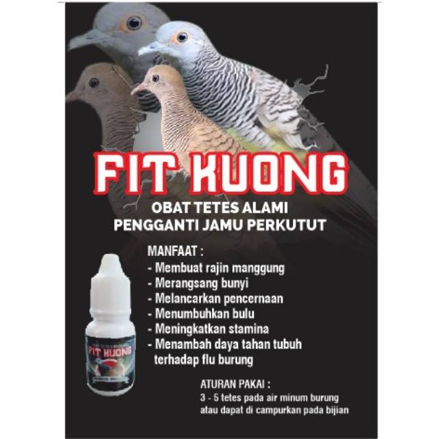 Obat Tetes Alami Pengganti Jamu Perkutut FIT KUONG