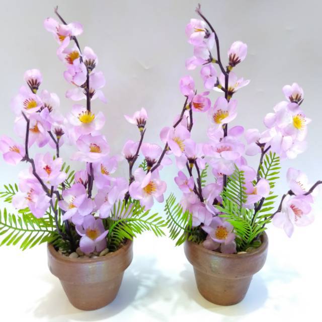 BUNGA SAKURA UNGU 15 kepala bunga warna random Shopee BUNGA SAKURA UNGU 15 kepala bunga warna random Shopee